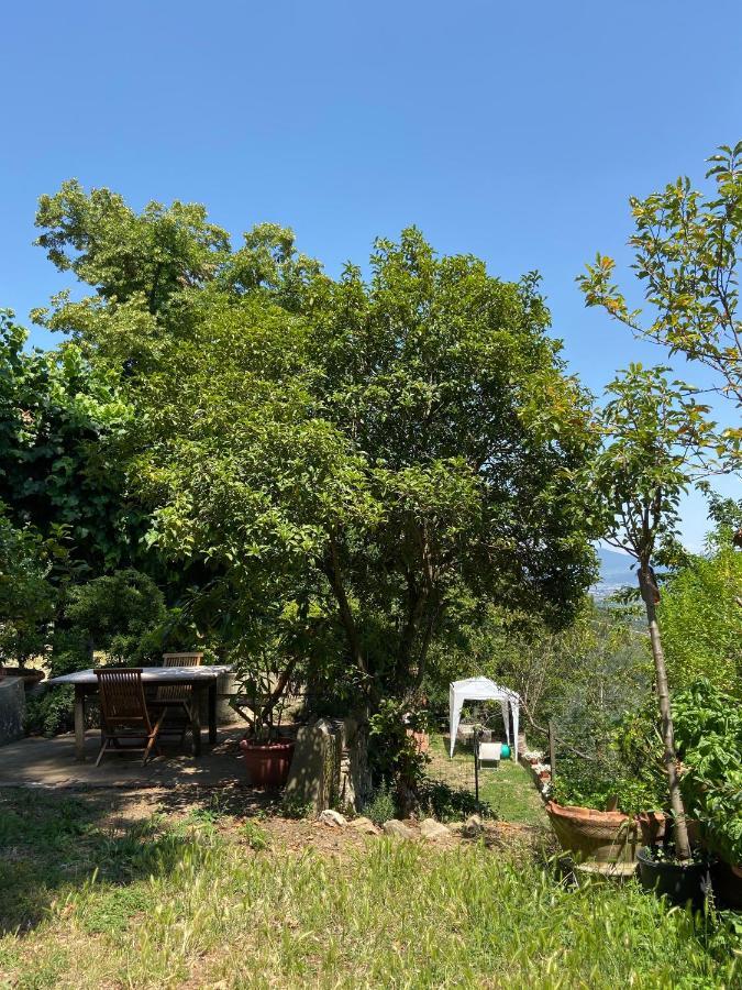 B&B La Rocca Carmignano Extérieur photo