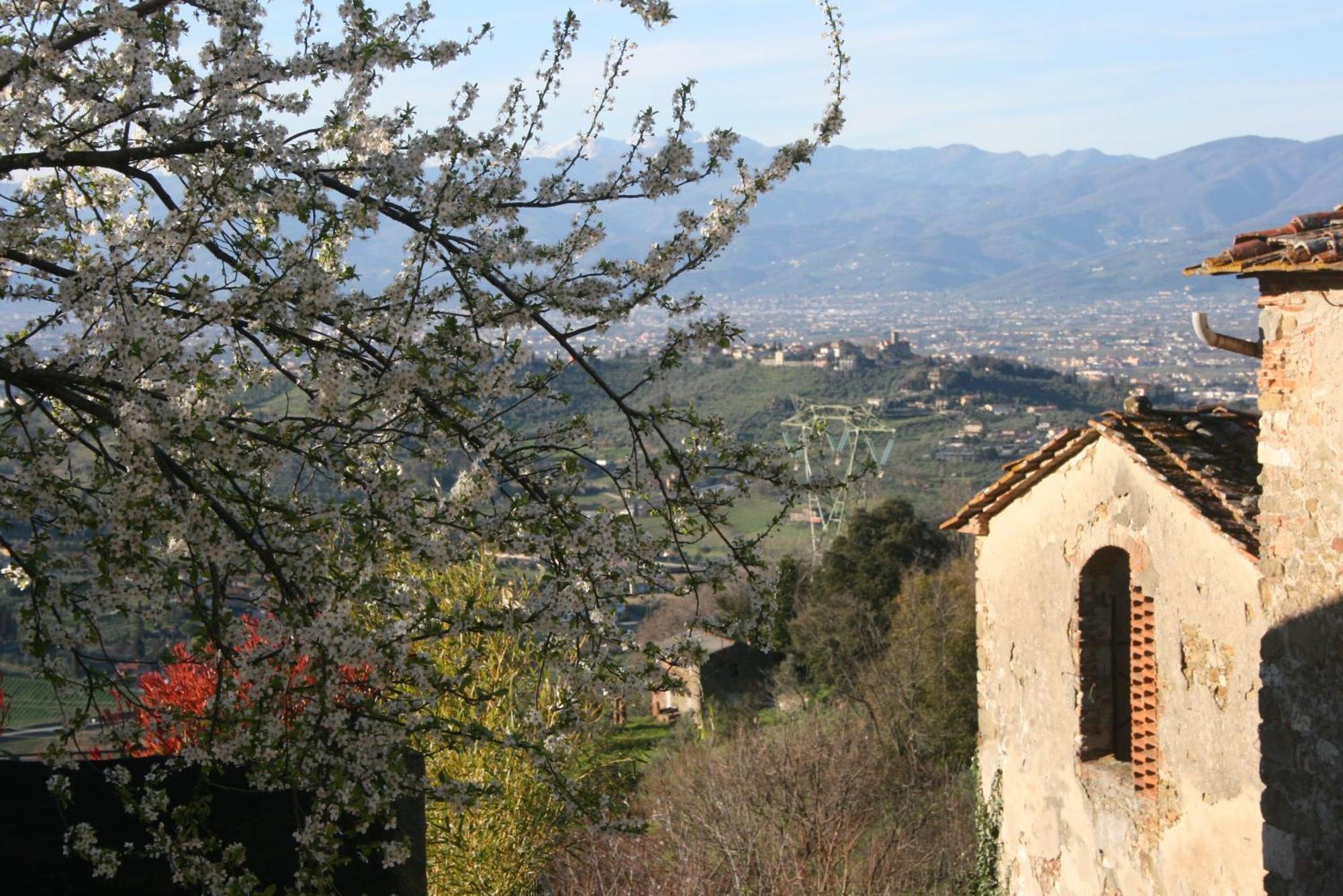 B&B La Rocca Carmignano Extérieur photo